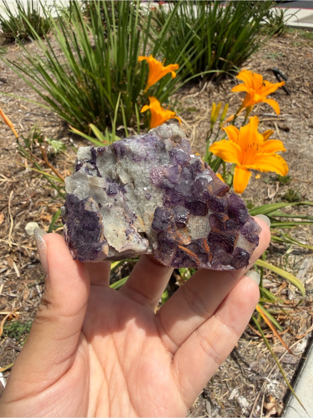 Natural Purple Edge Fluorite Cluster,Cubic Fluorite Crystal on Matrix,A612